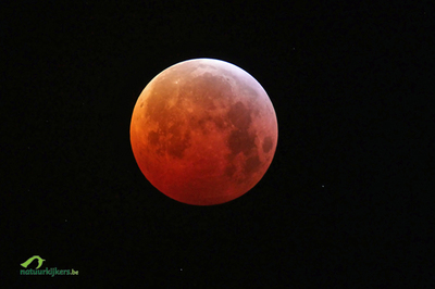 maanverduistering.jpg