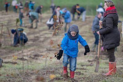 natuur_plantactie.jpg