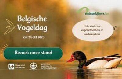 Natuurkijkers op de Belgische Vogeldag 2026 Heteventvoorvogelliefhebbersenonderzoekers.jpg